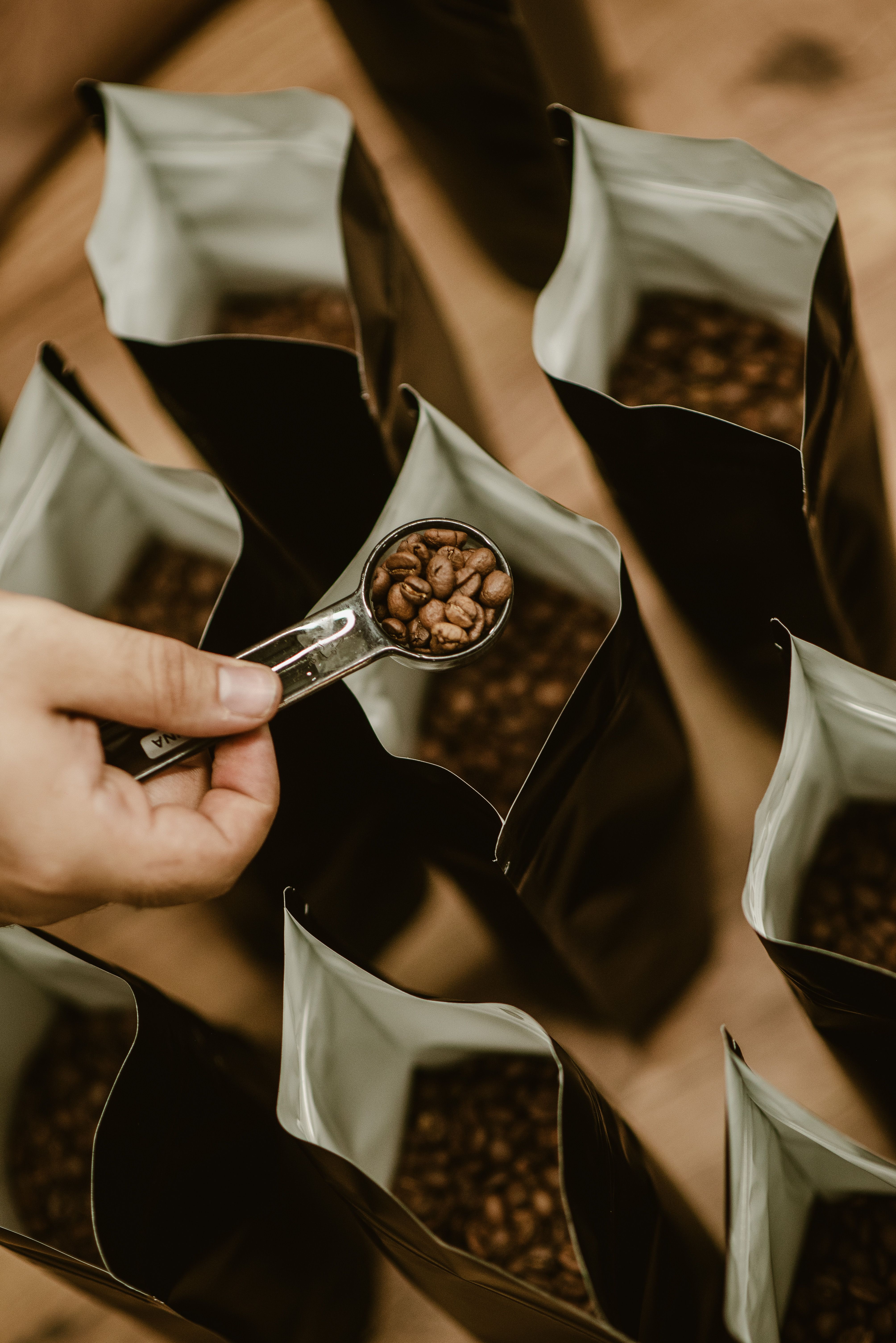 Fresh roasted coffee beans